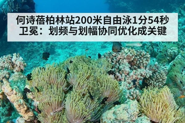 何诗蓓柏林站200米自由泳1分54秒卫冕:划频与划幅协同优化成关键